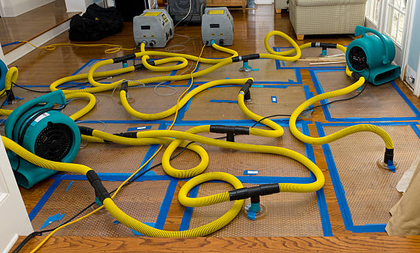 Professional Structural Drying And Dehumidification technician working in Concord, VA